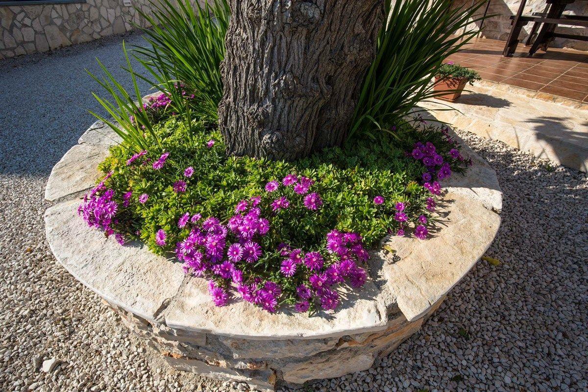 Holiday Home Fasana Fažana Zewnętrze zdjęcie